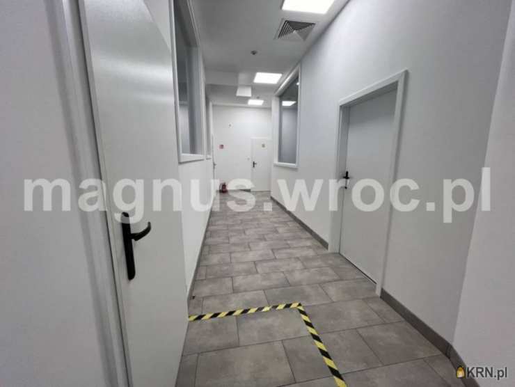 Wrocław, Stare Miasto, ul. , Lokal użytkowy  do wynajęcia, 