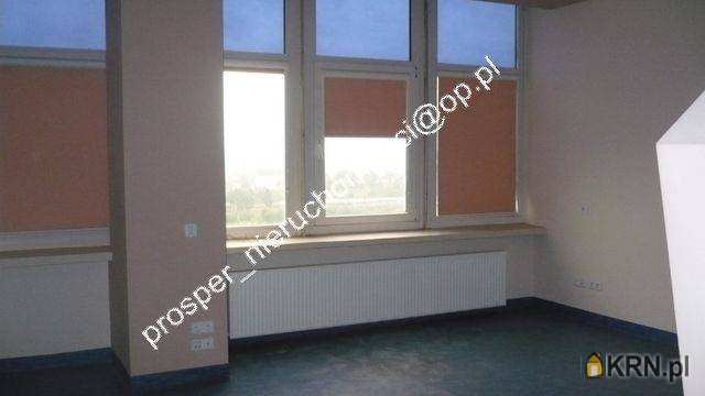 Gliwice, ul. , Lokal użytkowy  do wynajęcia, 