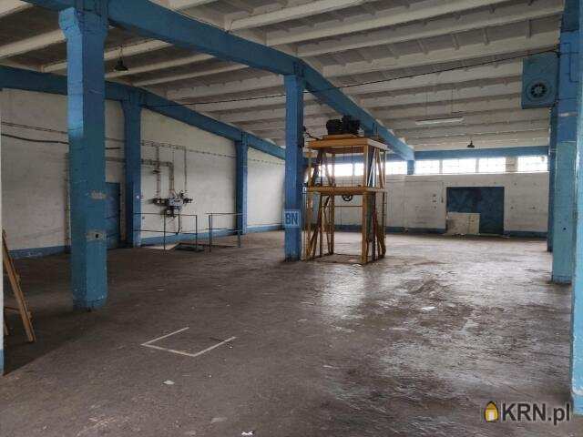 Lokal użytkowy  do wynajęcia, Gliwice, ul. , 2 pokojowe