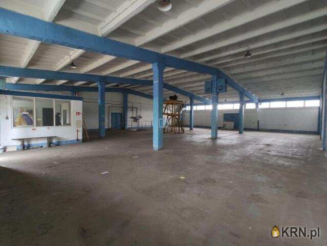 Lokal użytkowy  do wynajęcia, 2 pokojowe, Gliwice, ul. 