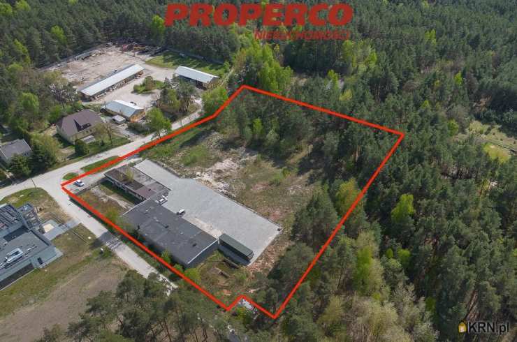 , Zajączków, ul. , Lokal użytkowy  do wynajęcia