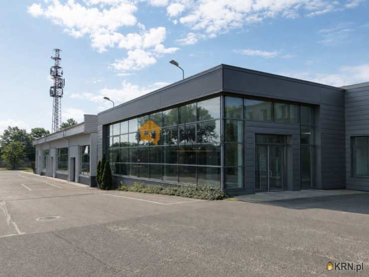 Lokal użytkowy  do wynajęcia, , Legnica, ul. 