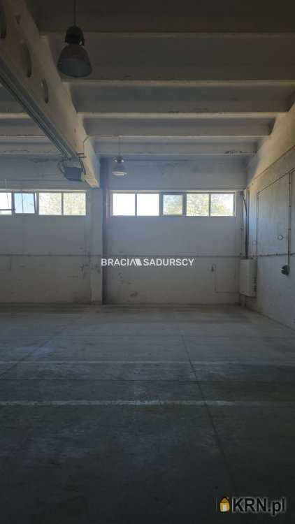 Lokal użytkowy  do wynajęcia, , Niepołomice, ul. Grabska