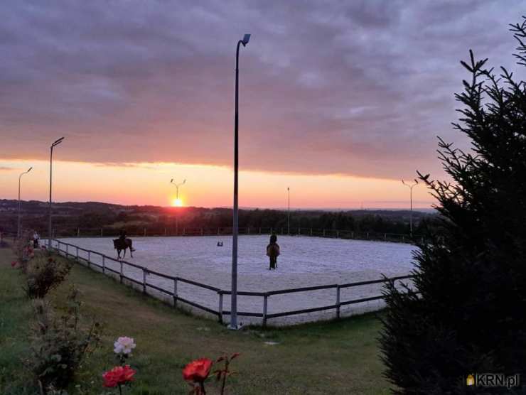 Bodzanów, ul. , Lokal użytkowy  na sprzedaż, 