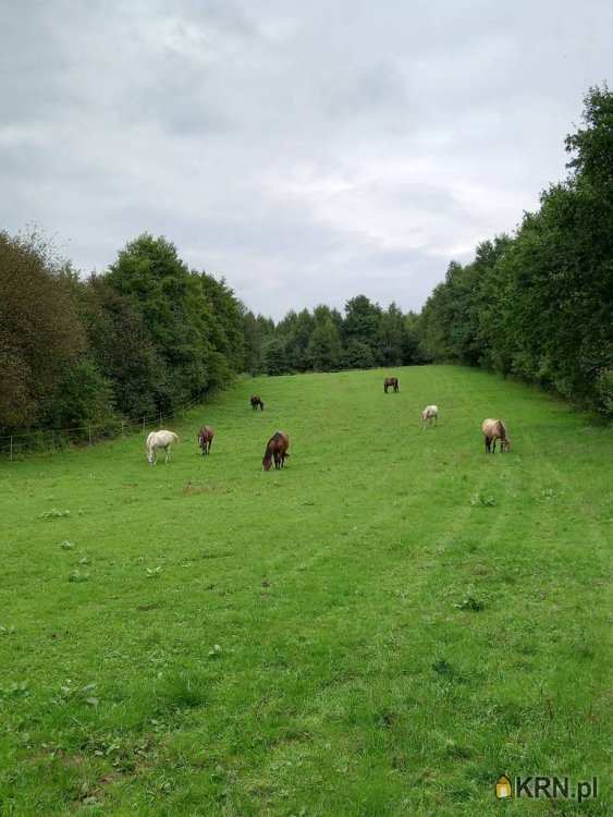 , Lokal użytkowy  na sprzedaż, Bodzanów, ul. 
