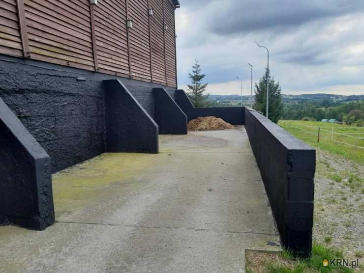 Lokal użytkowy  na sprzedaż, Bodzanów, ul. , 