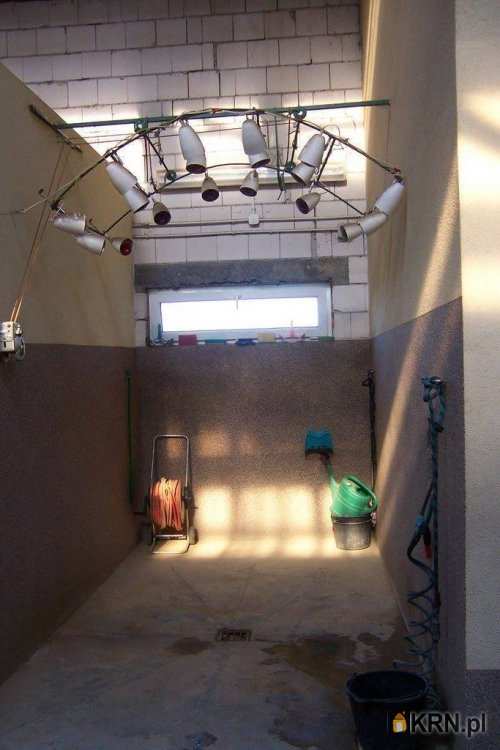 Lokal użytkowy  na sprzedaż, , Bodzanów, ul. 