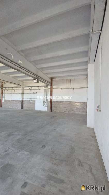 Lokal użytkowy  do wynajęcia, Niepołomice, ul. Grabska, 