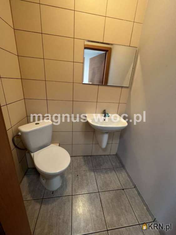 Wrocław, Stare Miasto, ul. , , Lokal użytkowy  do wynajęcia