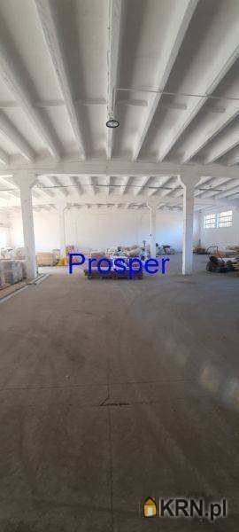 Lokal użytkowy  do wynajęcia, , Katowice, ul. 