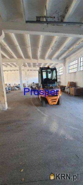 Katowice, ul. , Lokal użytkowy  do wynajęcia, 