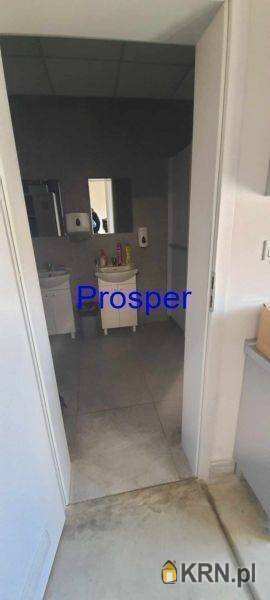 Katowice, ul. , , Lokal użytkowy  do wynajęcia