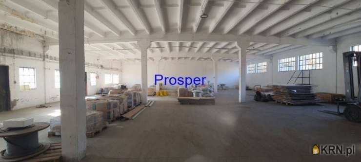 , Lokal użytkowy  do wynajęcia, Katowice, ul. 