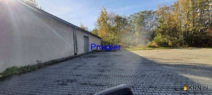 Prosper - Nieruchomości, Lokal użytkowy  do wynajęcia, Katowice, ul. 