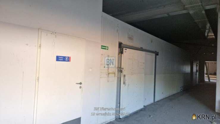 Gliwice, ul. , , Lokal użytkowy  do wynajęcia