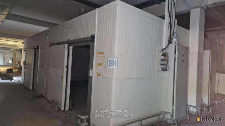 Lokal użytkowy  do wynajęcia, , Gliwice, ul. 