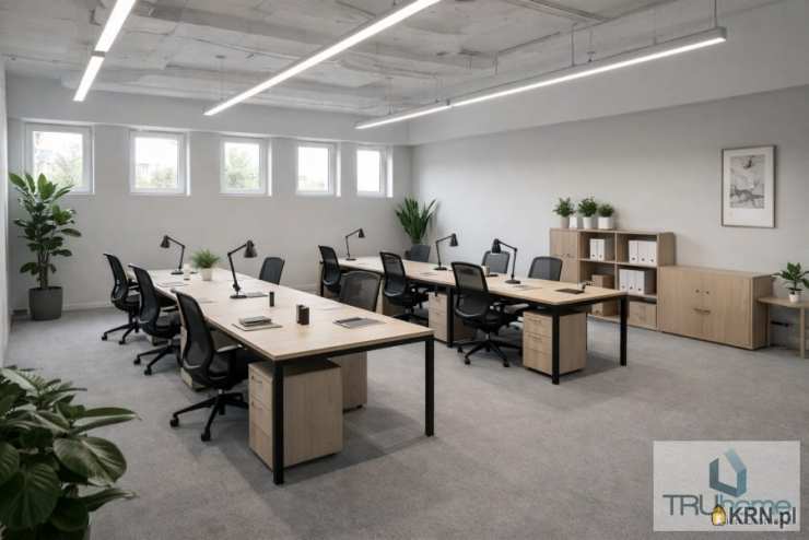 Lokal użytkowy  do wynajęcia, Chorzów, Chorzów Batory, ul. Graniczna, 2 pokojowe