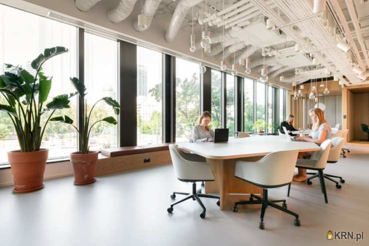 Lokal użytkowy  do wynajęcia, Warszawa, Śródmieście, ul. , 