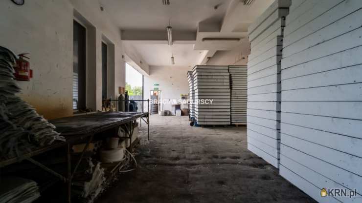 Lokal użytkowy  do wynajęcia, Biały Kościół, ul. Murownia, 