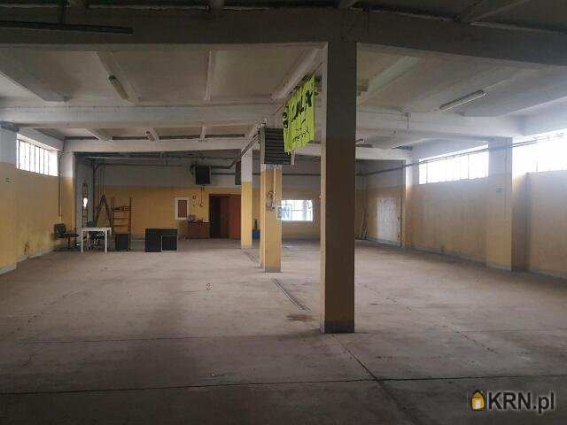 Lokal użytkowy  do wynajęcia, Gliwice, ul. , 3 pokojowe