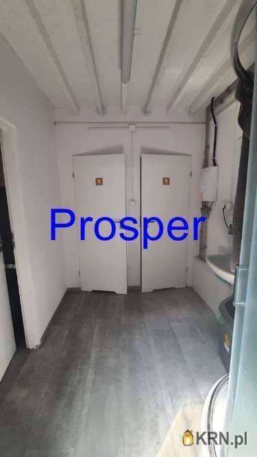 Katowice, ul. , , Lokal użytkowy  do wynajęcia