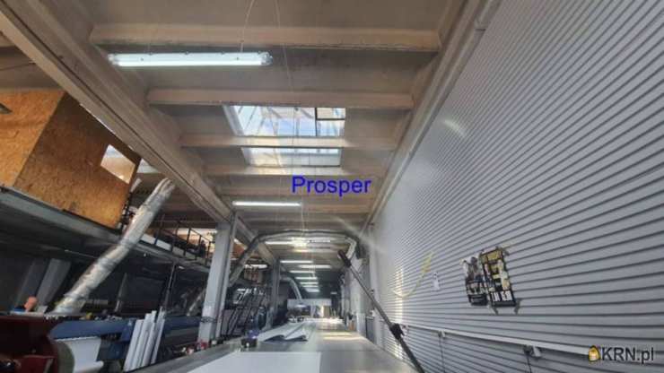 , Lokal użytkowy  do wynajęcia, Katowice, ul. 