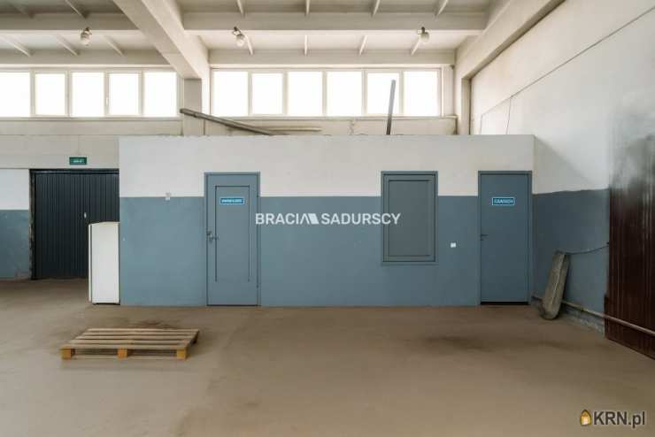 Lokal użytkowy  do wynajęcia, , Proszowice, ul. Nowa