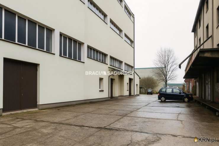 , Lokal użytkowy  do wynajęcia, Proszowice, ul. Nowa