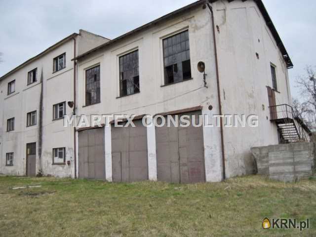 Lokal użytkowy  do wynajęcia, Wodzisław Śląski, ul. , 