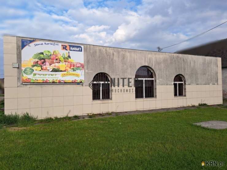 Domaniów, ul. , Lokal użytkowy  na sprzedaż, 
