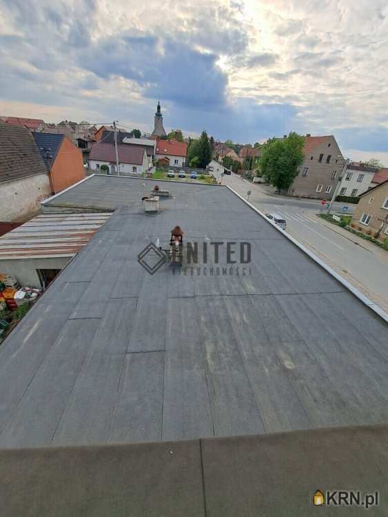 Domaniów, ul. , Lokal użytkowy  na sprzedaż, 