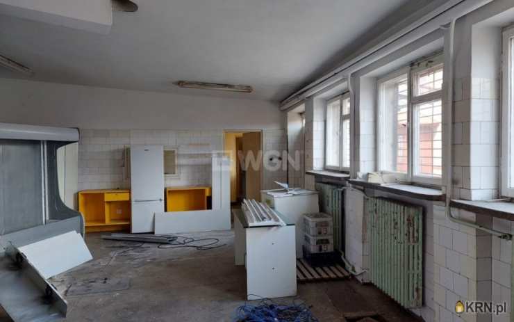 Przemków, ul. , Lokal użytkowy  na sprzedaż, 10 pokojowe