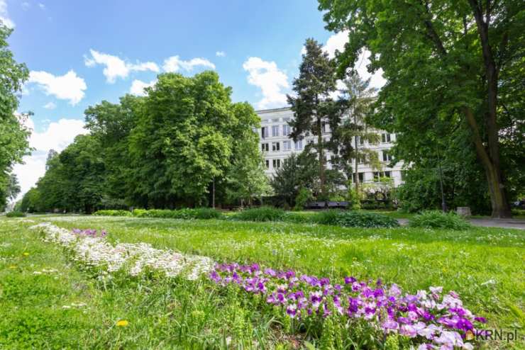 Warszawa, Śródmieście, ul. , , Lokal użytkowy  do wynajęcia