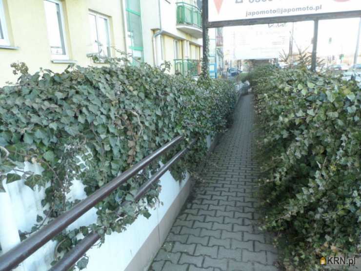 Poznań, Wilda, ul. Dolna Wilda, Lokal użytkowy  do wynajęcia, 