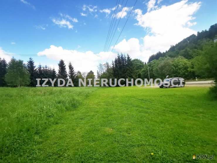 Walim, ul. , Lokal użytkowy  na sprzedaż, 