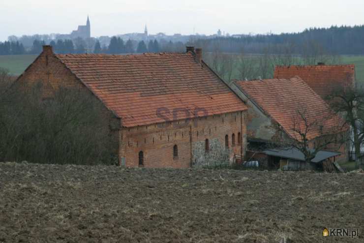 Rogów Wołowski, ul. , Lokal użytkowy  na sprzedaż, 