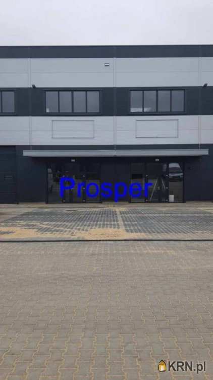 Sosnowiec, ul. , , Lokal użytkowy  do wynajęcia