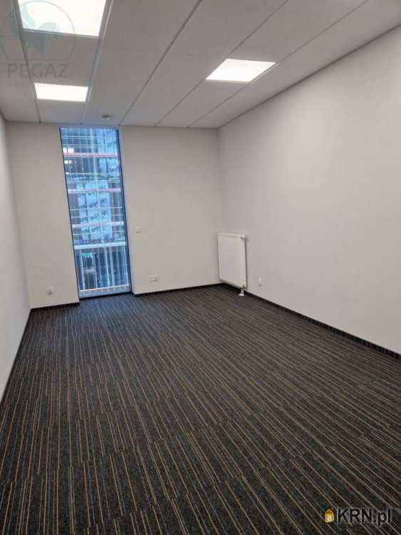 Poznań, Grunwald/Górczyn, ul. Kopanina, Lokal użytkowy  do wynajęcia, 
