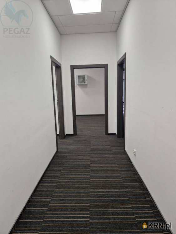 , Poznań, Grunwald/Górczyn, ul. Kopanina, Lokal użytkowy  do wynajęcia
