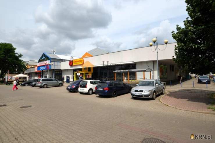 Legnica, ul. , Lokal użytkowy  do wynajęcia, 