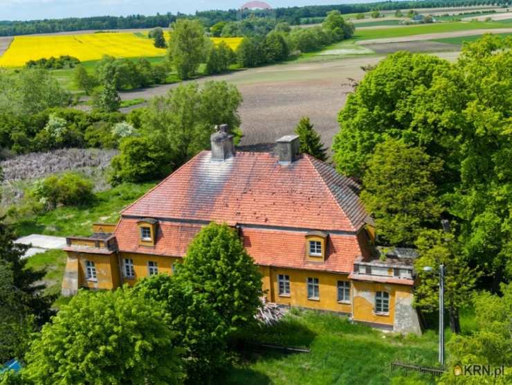 RE/MAX Polska, Lokal użytkowy  na sprzedaż, Głuponie, ul. 