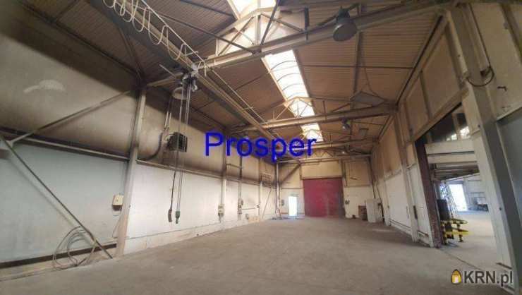 Lokal użytkowy  do wynajęcia, , Ruda Śląska, ul. 