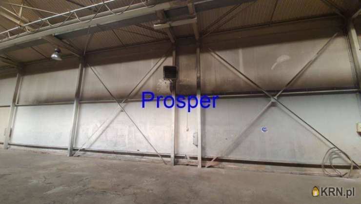 Prosper - Nieruchomości, Lokal użytkowy  do wynajęcia, Ruda Śląska, ul. 