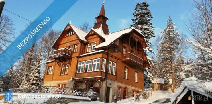 Szklarska Poręba, ul. Franciszkańska, 17 pokojowe, Lokal użytkowy  na sprzedaż