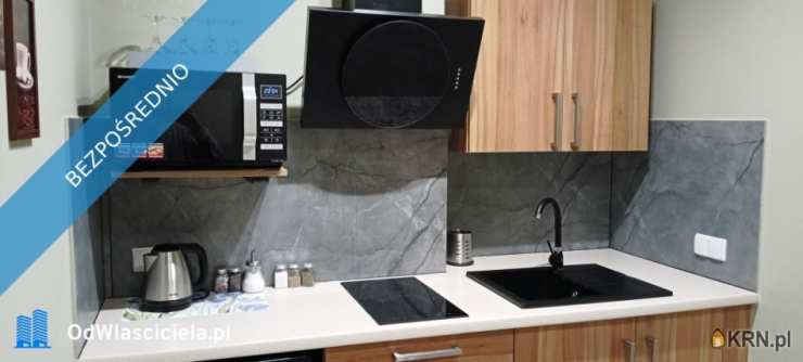 Szklarska Poręba, ul. Franciszkańska, Lokal użytkowy  na sprzedaż, 17 pokojowe