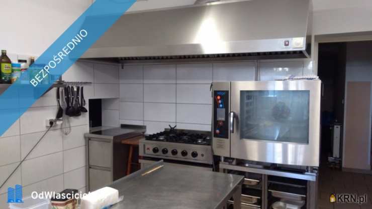 17 pokojowe, Szklarska Poręba, ul. Franciszkańska, Lokal użytkowy  na sprzedaż