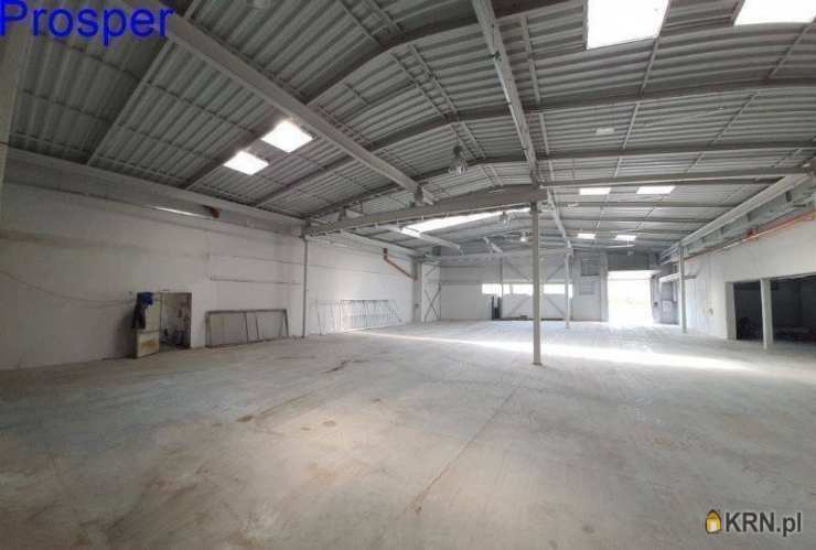 Lokal użytkowy  do wynajęcia, Zabrze, ul. , 