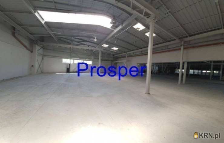 Zabrze, ul. , Lokal użytkowy  do wynajęcia, 