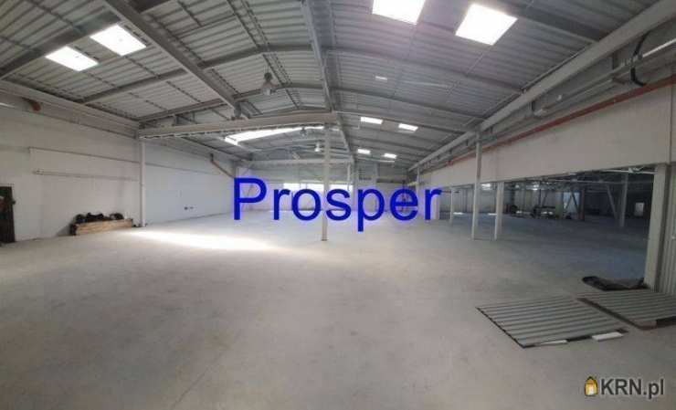 , Zabrze, ul. , Lokal użytkowy  do wynajęcia