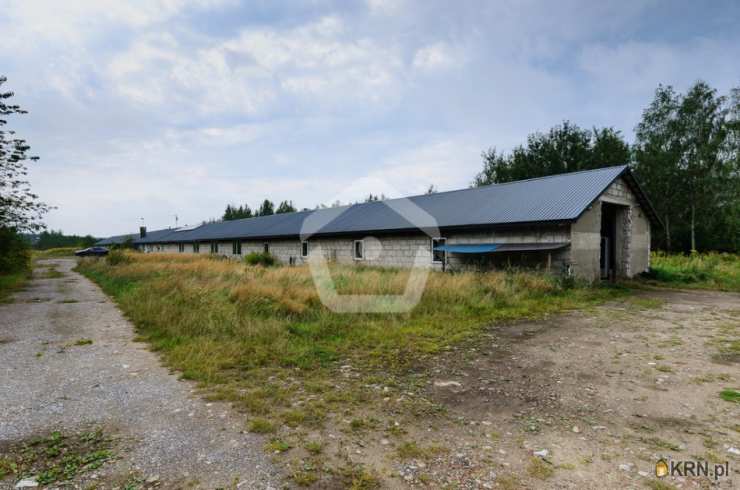 Rogoźnica, ul. , Lokal użytkowy  na sprzedaż, 